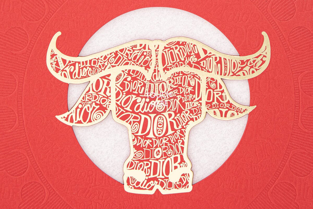 Dior X Shawn Stussy Lunar New Year Lantern – TBC Consignment